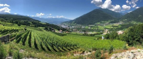 BUEHLERHOF Bauernhof Apartments Brixen NATUR PUR